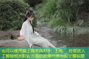 上海 __ 在促进人工智能相关职业方面的政策 上海 __ 在促进人工智能相关职业方面的政策